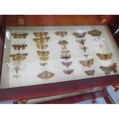 502 - A collection of butterflies and beetles housed in a 19th century mahogany eight drawer collectors ca... 