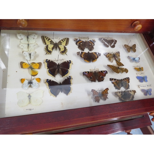 502 - A collection of butterflies and beetles housed in a 19th century mahogany eight drawer collectors ca... 