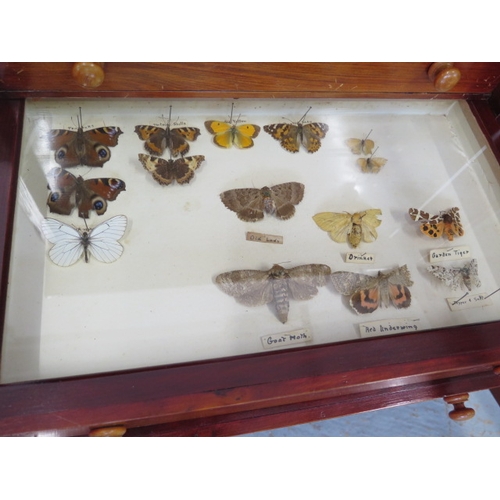 502 - A collection of butterflies and beetles housed in a 19th century mahogany eight drawer collectors ca... 