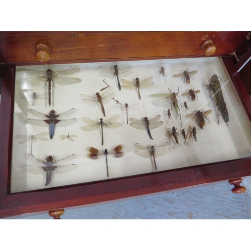 502 - A collection of butterflies and beetles housed in a 19th century mahogany eight drawer collectors ca... 