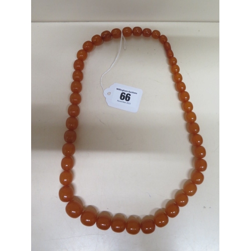 66 - A graduated amber bead necklace - approx 66cm - weight approx 73 grams