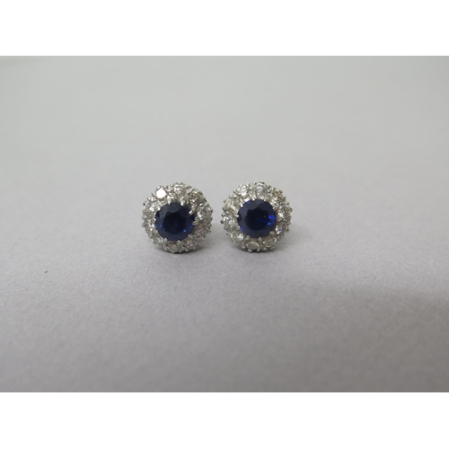 169A - A pair of sapphire and diamond cluster ear studs - central round sapphires approx 5mm diameter surro... 