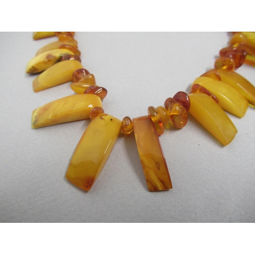 27 - A dark amber graduated bead necklace approx 63cm long, approx weight 69 grams, with a Baltic amber n... 