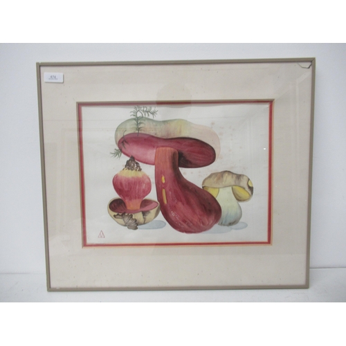 474 - A framed glazed watercolour on paper of mushrooms - 37cm x 28cm