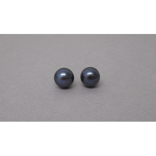 92 - A pair of 9ct yellow gold studs set with oblate spheroid black cultured pearls, with reflections in ... 