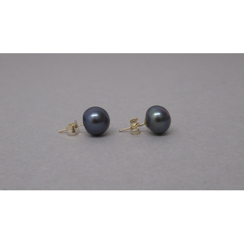 92 - A pair of 9ct yellow gold studs set with oblate spheroid black cultured pearls, with reflections in ... 