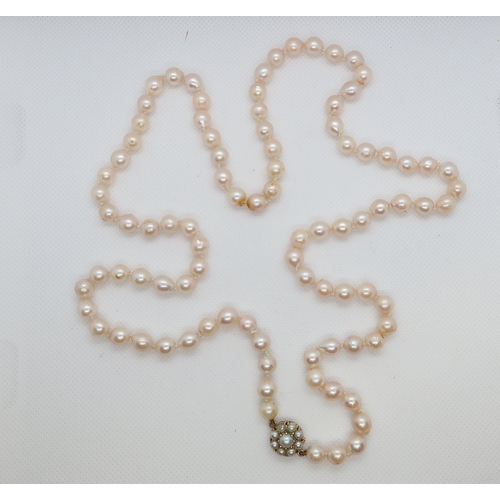 157 - A string of pearls with 9ct yellow gold (hallmarked) and pearl clasp - 81cm