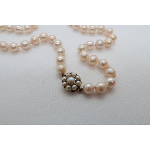 157 - A string of pearls with 9ct yellow gold (hallmarked) and pearl clasp - 81cm