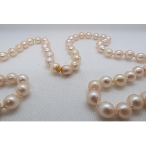 157 - A string of pearls with 9ct yellow gold (hallmarked) and pearl clasp - 81cm