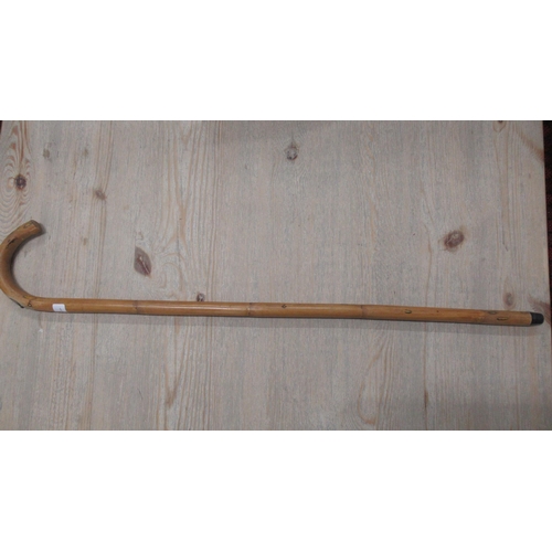 394 - A horse measuring walking stick - 95cm