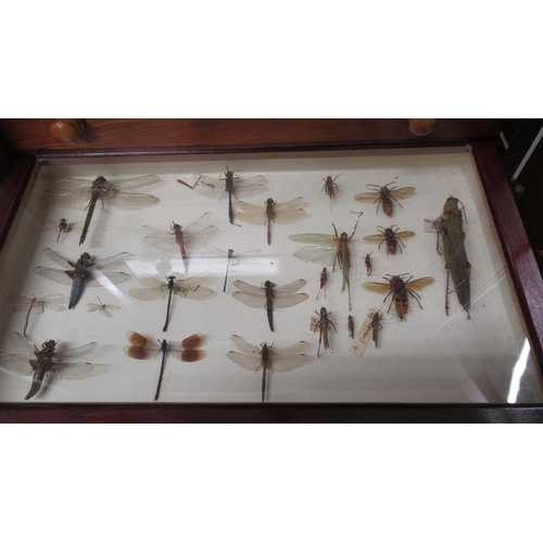 532 - A collection of butterflies and beetles housed in a 19th century mahogany and pine eight drawer coll... 