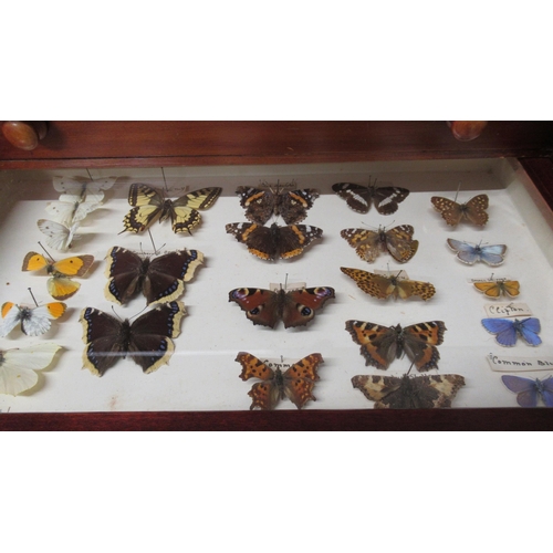 532 - A collection of butterflies and beetles housed in a 19th century mahogany and pine eight drawer coll... 