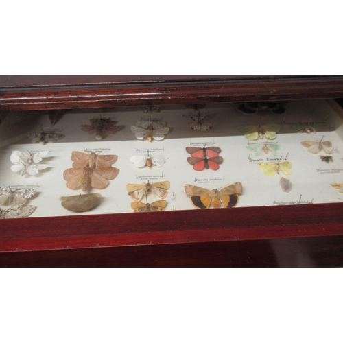 532 - A collection of butterflies and beetles housed in a 19th century mahogany and pine eight drawer coll... 