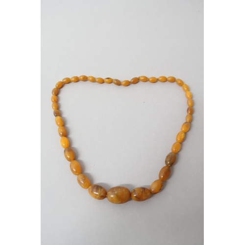 224 - An amber bead necklace, graduated beads, largest approx 3cm - weight approx 53 grams