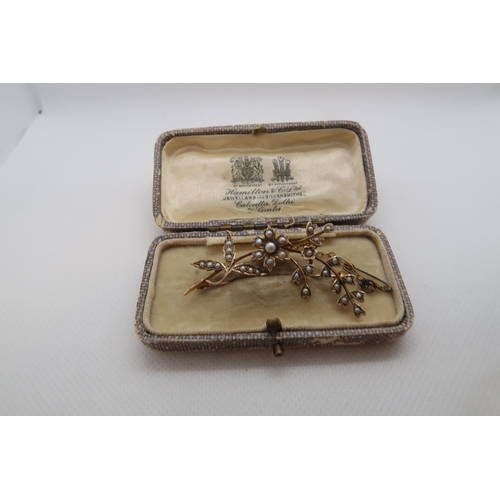 142 - An Edwardian 9ct yellow gold (hallmarked) and pearl flower brooch - approx 5cm - weight approx 4.1 g... 