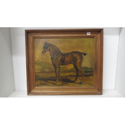 477 - Framed oil on canvas of a horse, signed bottom right 'Clayton 1863' 57cm x 47cm