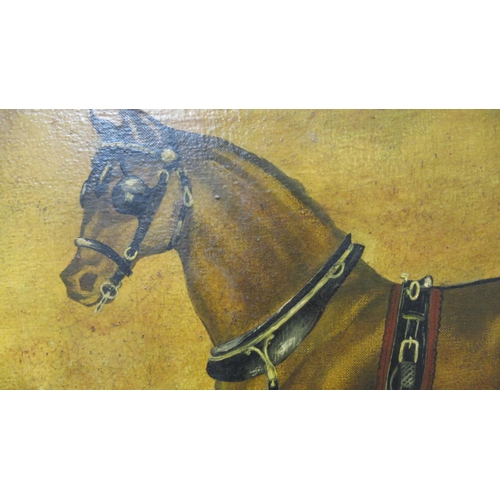 477 - Framed oil on canvas of a horse, signed bottom right 'Clayton 1863' 57cm x 47cm