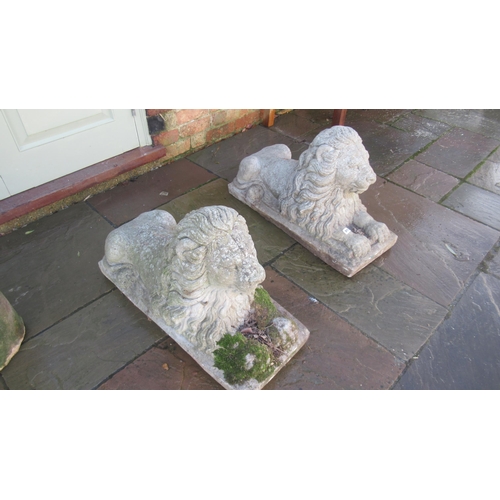 515 - A pair of good quality concrete lions, 83cm long x 48cm high