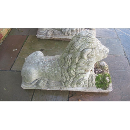 515 - A pair of good quality concrete lions, 83cm long x 48cm high