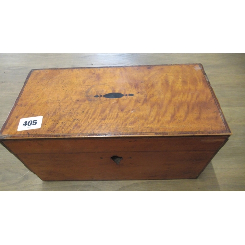 405 - A 19th century tea caddy