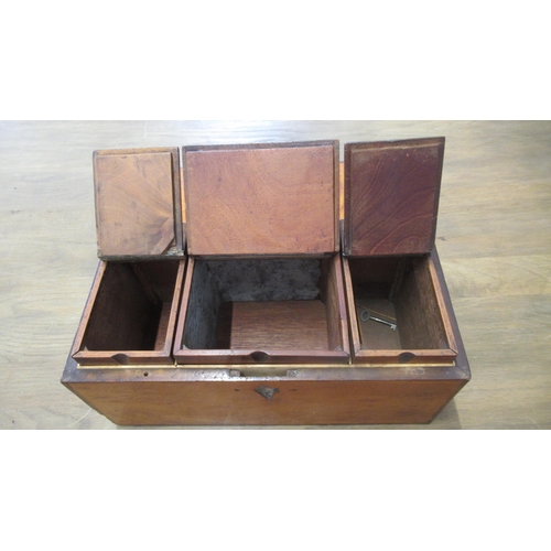 405 - A 19th century tea caddy