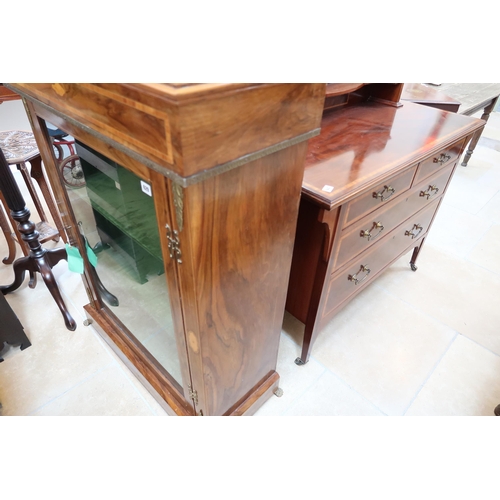 629 - A Regency Rosewood and Tulip-wood Bookcase or Display cabinet with Brass Lion paw feet. 
83 cm wide ... 