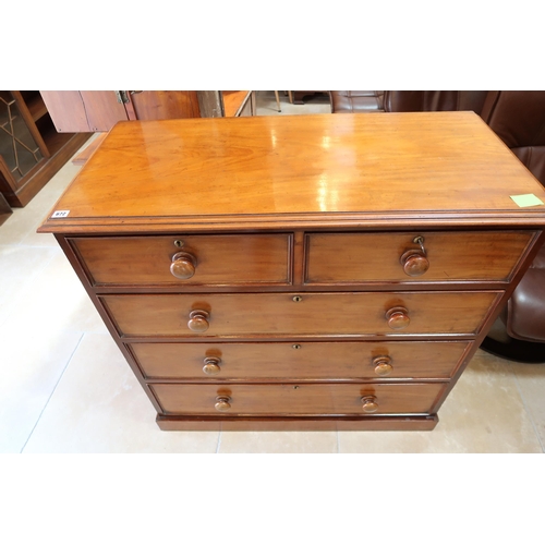 672 - A Victorian mahogany chest of two short over three long drawers with bun handles raised on plinth.