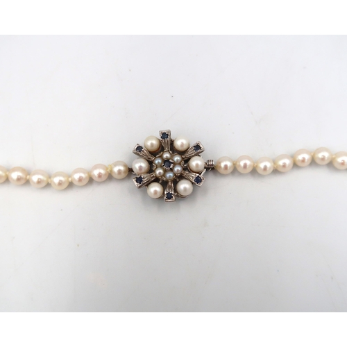 188 - A pearl necklace with a 9ct white gold sapphire and pearl clasp - head size approx 21mm - approx len... 