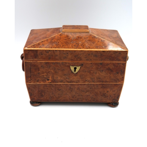 462 - A birds eye maple veneered tea caddy on bun feet, 19cm x 11.4cm x 16cm high