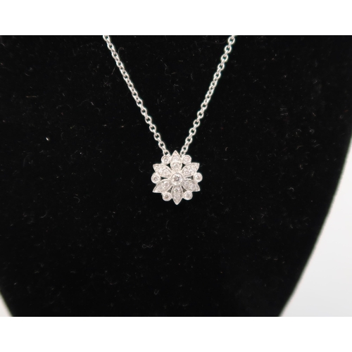 124 - A good quality 18ct white gold diamond cluster pendant on an 18ct white gold chain - retailed by Luk... 