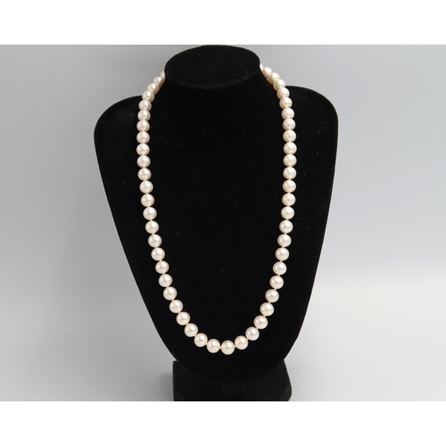 96 - A pearl necklace 44cm long with a 9ct yellow gold marked clasp. In good condition.