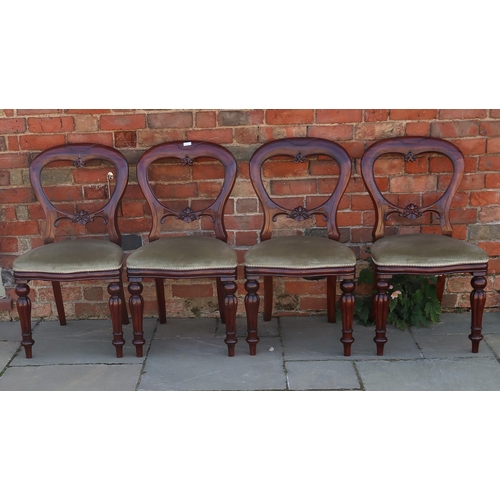 710 - A set of four Victorian balloon back dining chairs raised on turned and reeded supports