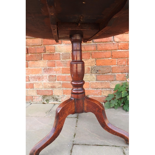 713 - A Georgian oak circular tilt top tripod table raised on pad feet, 80cm x 74cm high