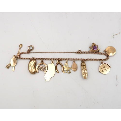  A 9ct yellow gold charm bracelet with eleven charms, approx 13.3 grams