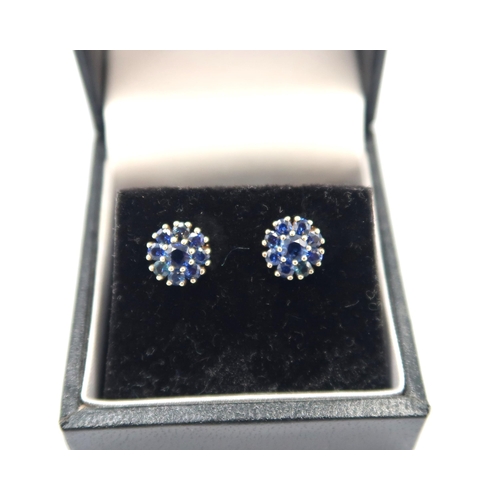 151 - A pair of 9ct yellow gold diamond cut sapphire earrings - the sapphires are well matched and a good ... 