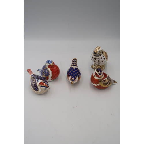 489 - A group of five Royal Crown Derby songbird paperweights including Song Thrush, Wren, Robin and Chaff... 