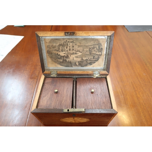 620 - A Georgian mahogany two section tea caddy