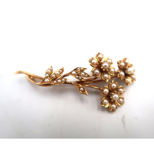 209 - A 14ct yellow gold and seed pearl foliate brooch - approx weight 11 grams