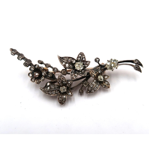 114 - An early 20th century diamond foliate brooch, set with old and rose cut diamonds. The larger old cut... 