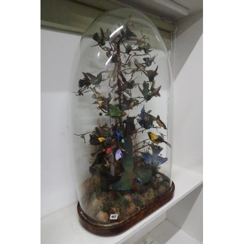 457 - A Victorian glass dome housing 30 exotic birds - 90cm x 56cm