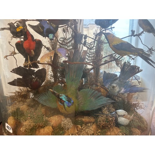 457 - A Victorian glass dome housing 30 exotic birds - 90cm x 56cm