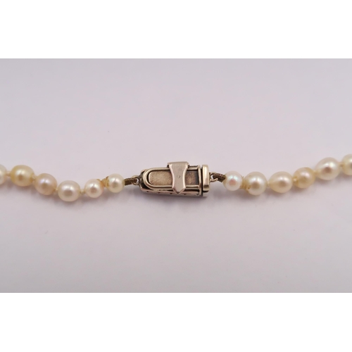 11 - A Freshwater pearl necklace with Platinum & 14ct Diamond set clasp. Approximately 0.60ct.

(Matches ... 