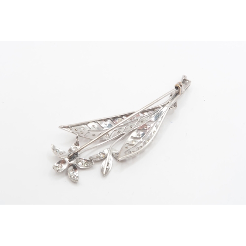15 - An Unmarked 18ct Tested Diamond Floral Design Brooch, Featuring a pierced leaf design with individua... 