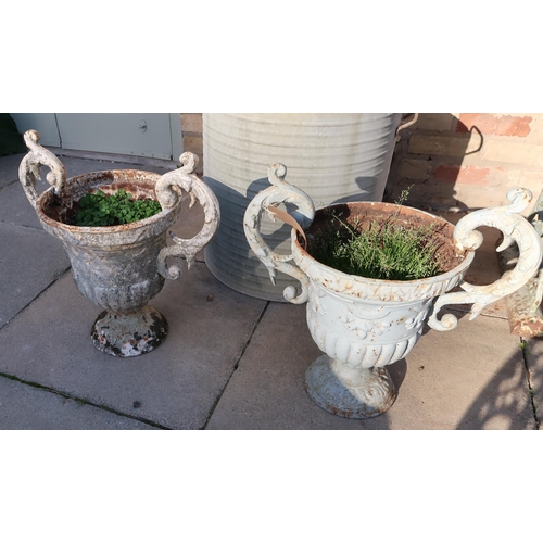 562 - A pair of cast iron garden urns - Height 37cm