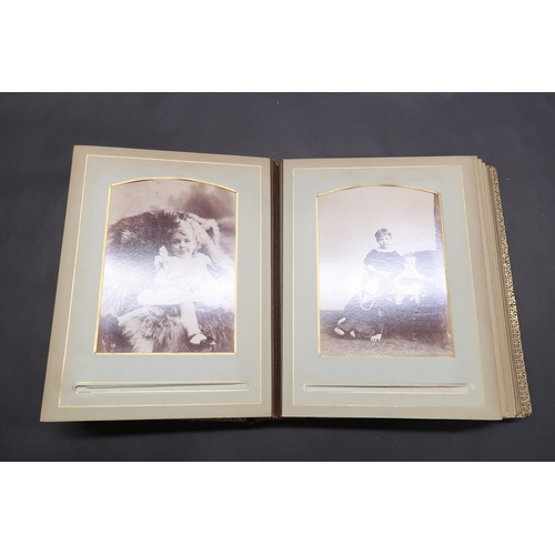  A Large Collection Photographs of The Stead Family produced by W.M Harrison together with other Fami... 