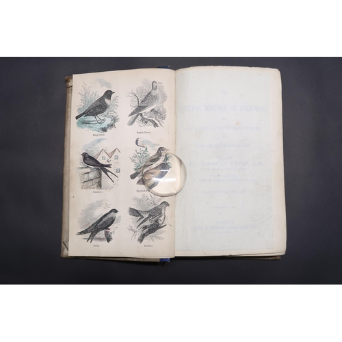 The Natural History of Selborne, Produced 1856, Originally Published by Reverend Gilbert White. Pres... 