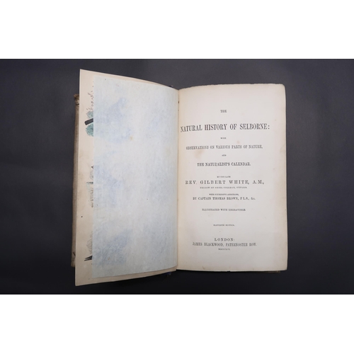  The Natural History of Selborne, Produced 1856, Originally Published by Reverend Gilbert White. Pres... 