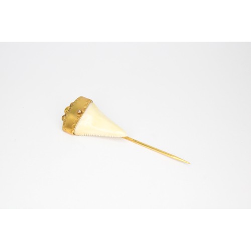 47 - A stick pin. Tests 14ct. Mounted with a shark&rsquo;s tooth. Weight 4.30 grams