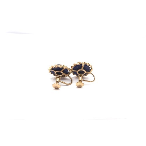 11 - A pair of 9ct gold screw back blue stone earrings - weight approx 6.48 grams