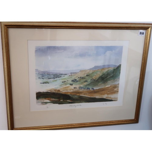 Lot 510       